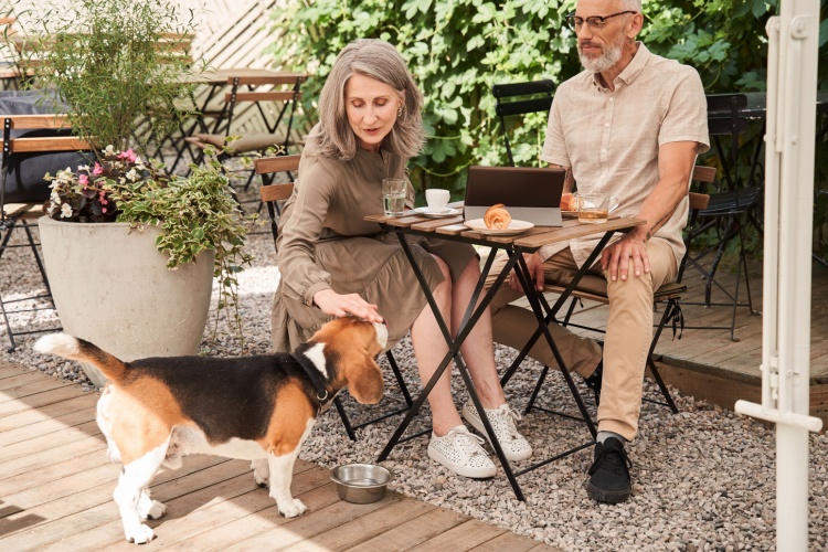 A couple sitting outside in a café with a dog.